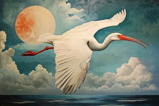 白鹭伴月翔于海天之间