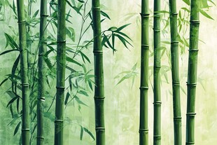 翠绿竹林风景图