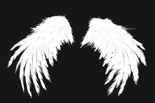 纯白天使羽翼