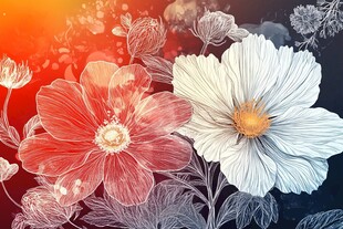 梦幻花卉插画 绚丽色彩
