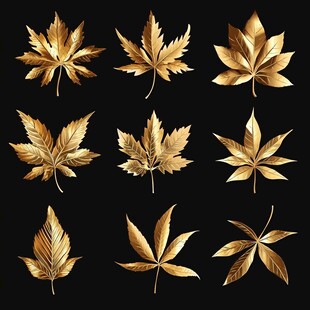 金色秋叶集合