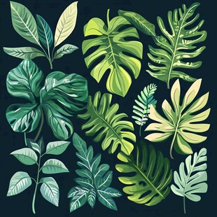 热带风情绿叶插画素材