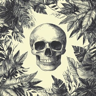 骷髅与热带植物装饰画