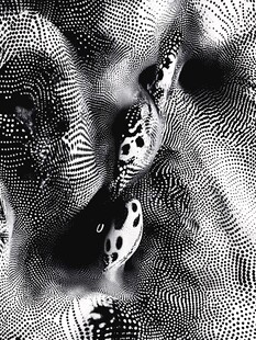 黑白波点抽象纹理图案