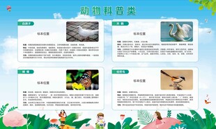 动物鸟类类科普展板