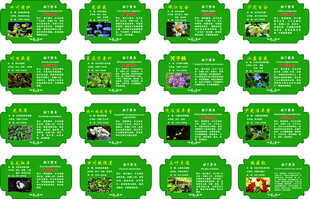 植物介绍牌
