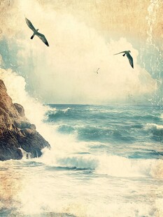 海天一色间飞鸟伴浪涌