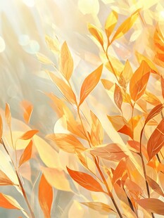 秋日金黄树叶梦幻美景