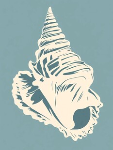 复古风海螺插画图案