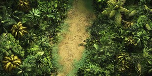 穿越繁茂丛林的隐秘小径