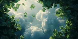 透过绿叶望云端梦幻景致