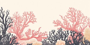 梦幻海底珊瑚景观图