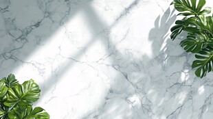 大理石上的绿植光影之美