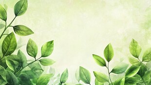 清新绿叶背景图