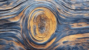 木纹年轮特写纹理之美