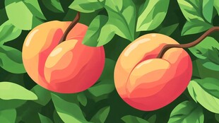 枝头双桃 绿叶相伴