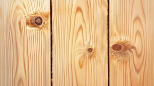 浅色松木纹理木板特写