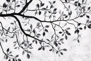 黑白树枝叶艺术插画