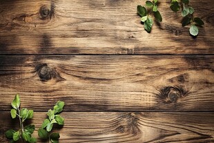 木质背景上的清新绿叶