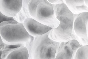 微观细胞结构黑白影像