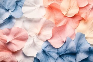 多彩花瓣纹理背景图