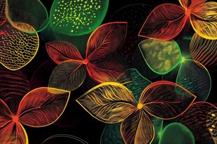 梦幻炫彩叶脉花卉图案