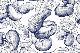 手绘腰果与枝叶无缝图案