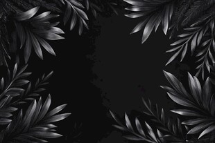 黑底银叶边框装饰背景图
