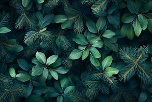 翠绿叶片与松针交织背景