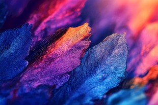 梦幻多彩羽毛微观景象