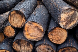 堆叠的深色原木木材