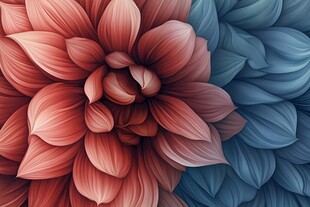 双色绚丽花朵艺术插画