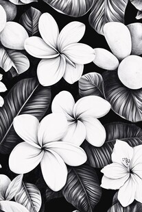 黑白鸡蛋花与叶片图案