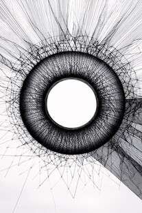 黑白线条构成的抽象眼球