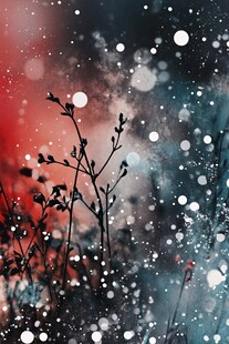 雪夜植物剪影梦幻景致