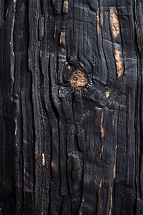 烧焦的木纹纹理特写