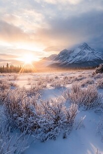 雪野晨光中的壮美雪山