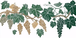 葡萄藤蔓装饰图案