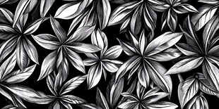 黑白叶纹图案