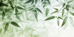 清新竹叶背景图