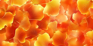 金黄银杏叶的绚丽视觉盛宴