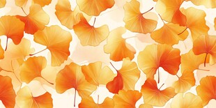 金黄银杏叶 秋日浪漫底色