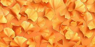 金黄银杏叶 秋日浪漫底色