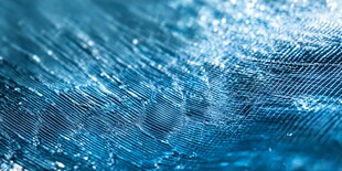 蓝色羽毛纹理特写