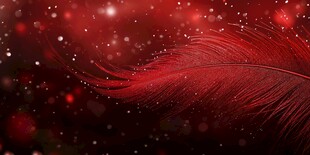 红色羽毛梦幻背景图