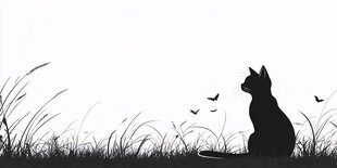 猫咪于草地间望飞鸟