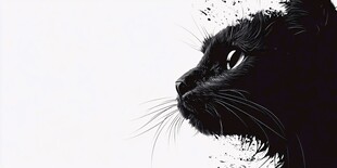 黑猫侧影 独特艺术风格