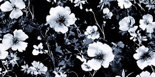 黑白花卉图案背景