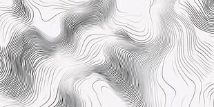 黑白线条流动抽象背景图