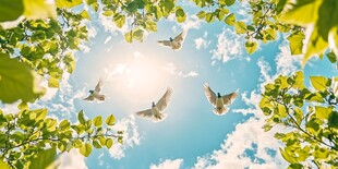 绿叶间飞鸟与明媚蓝天